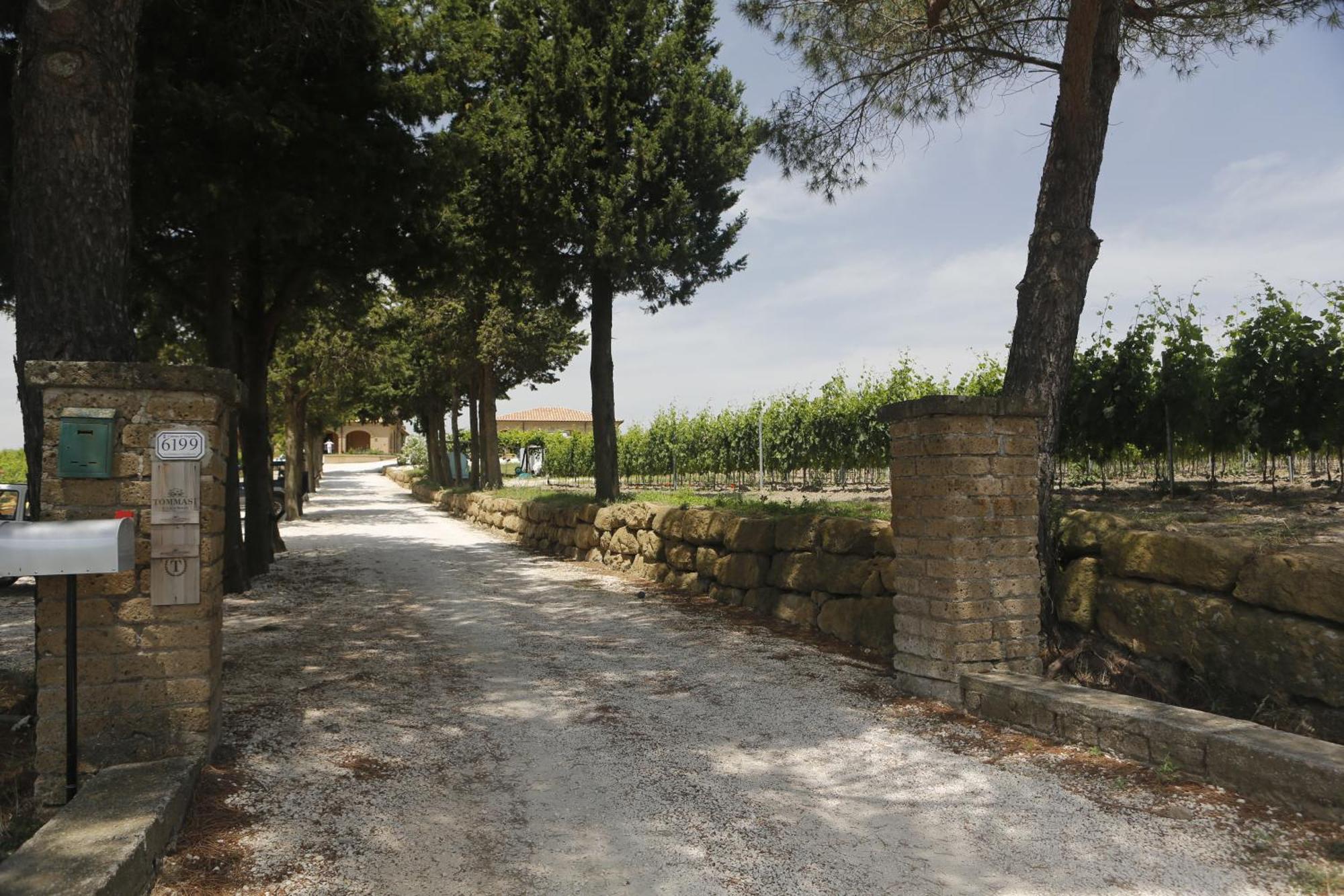 Agriturismo Poggio Al Tufo Pitigliano Extérieur photo